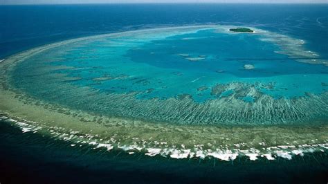 Georgetown on the Great Barrier Reef: Politics of Marine Conservation, Australia 2022 - CANZPS