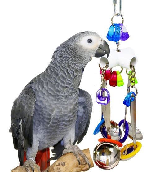 Parrot gnawed toy bird toy four angle stainless steel parrot chew the ...