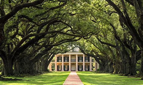 Louisiana's Most Glorious Antebellum Mansions