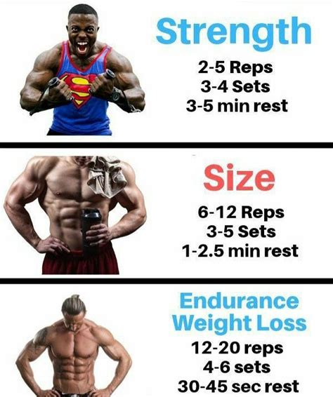 distinguished Strength, size and endurance | Best workout plan, Workout ...