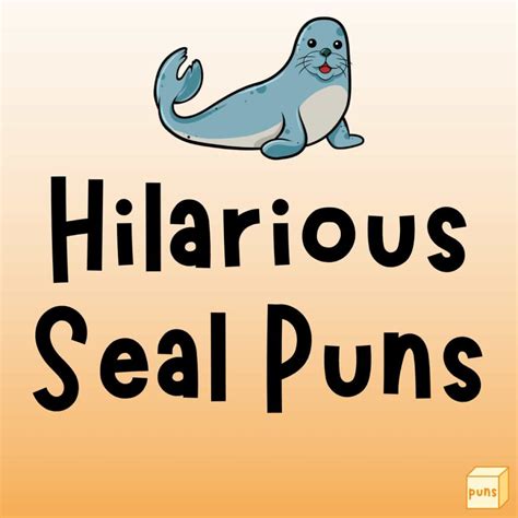 50+ Hilarious Seal Puns That Seal the Laughter Deal - Box of Puns