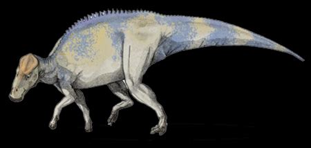 Brachylophosaurus Dinosaur, leonardo | facts - Brachylophosaurus pictures.