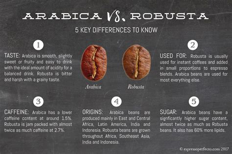 What Are The Differences Between Arabica And Robusta - vrogue.co