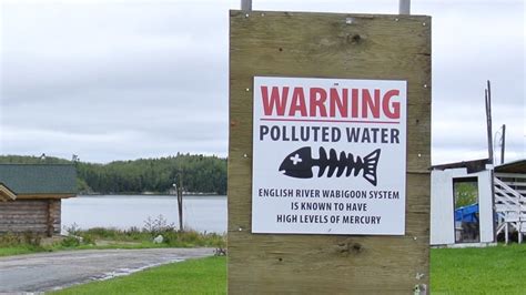 Decades later, Grassy Narrows First Nation waits for solution to mercury poisoning - Home | The ...