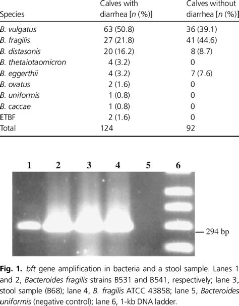 Occurrence of members of the Bacteroides fragilis group isolated from ...