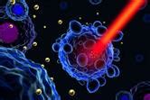 Nanotechnology for Precision Cancer Therapy: Advances in gene therapy, immunotherapy, and 3D ...