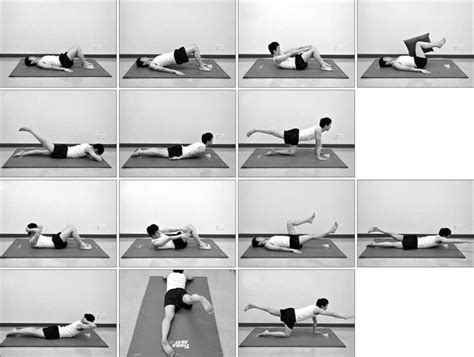 Lumbar dynamic strengthening exercises. | Download Scientific Diagram