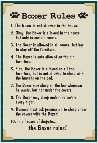 'Boxer House Rules' Print | AllPosters.com | Boxer dogs, Boxer, Boxer love