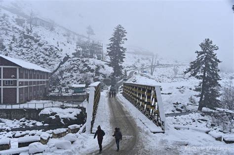 Kashmir Highlands Embrace Snow After Prolonged Wait – Kashmir Observer