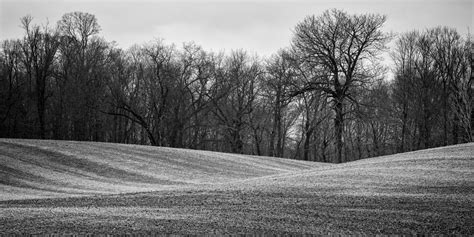 Black and White Field Photograph by Matt Hammerstein - Fine Art America