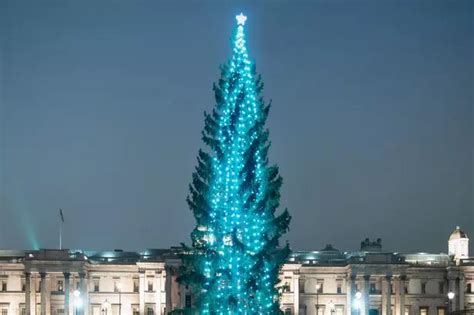 Trafalgar Square's famous Christmas tree on its way to London from Norway - MyLondon