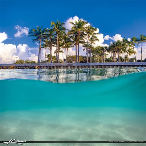 Dubois Park Underwater Snorkeling in Jupiter Florida | Royal Stock Photo