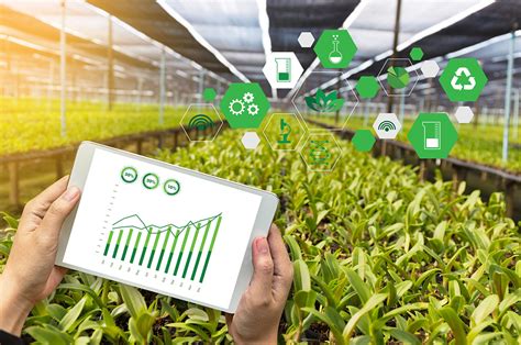 Connected Farming: 5 IoT Applications Redefining Agriculture