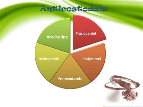 Classification of antiparasitic drugs