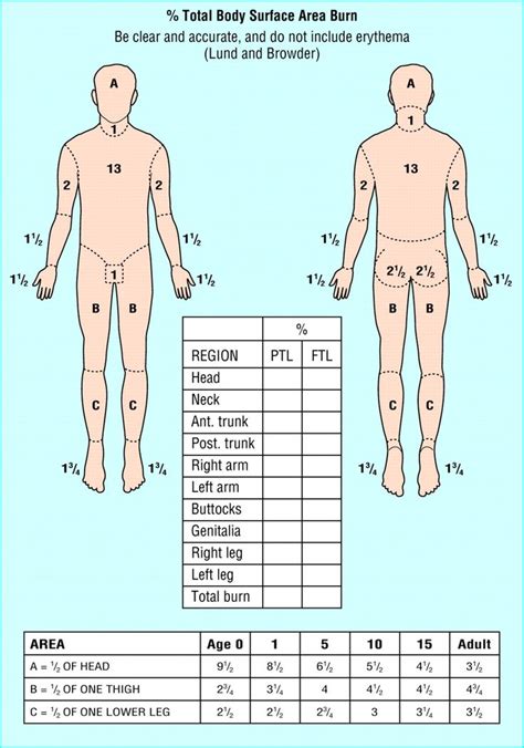 Burn area chart (BMJ) | Rule of nines, Burns, Nursing study