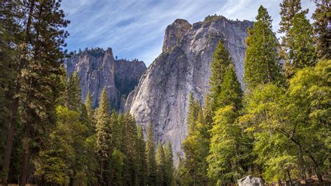 Mountain Trees Wallpaper - iPhone, Android & Desktop Backgrounds