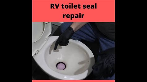 rv toilet seal - okgo.net