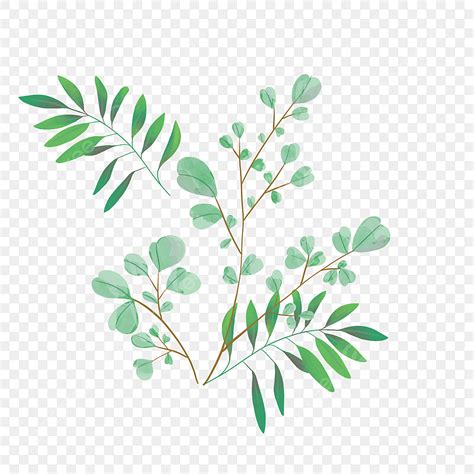 Watercolor Tree Branches PNG Picture, Summer Green Plant Watercolor Tree Branch, Summer, Tree ...