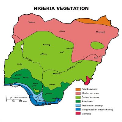 NIGERIA VEGETATION - Megafeeds - We Feed the Universe