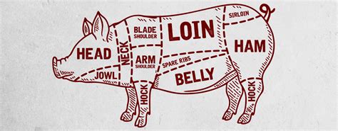 What Is Unique About the Primal Pork Loin Compared to the Beef or Veal Loin - Winsor Shopling