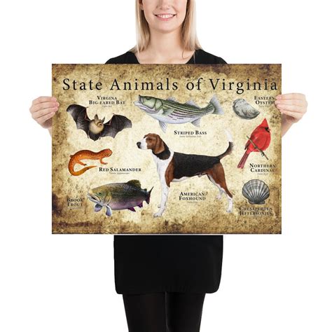 Virginia State Animals Poster Print | Etsy