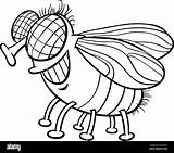 Black And White Cartoon Illustration Of Funny Fly Insect Animal  sketch template