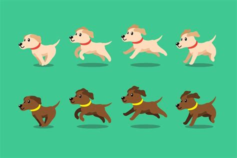 vector cartoon personagem cão labrador retriever correndo passo 2175860 ...