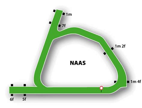 Naas Racecourse - Guide & Fixtures October 2022