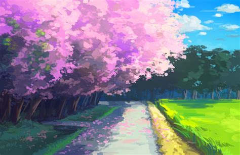 Cherry Blossom Anime Wallpaper 1920X1080 - Cherry Blossom HD Wallpaper ...