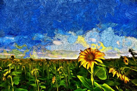 Vincent van Gogh's sunflower field. Digital Art by Artem Kartavkin - Fine Art America