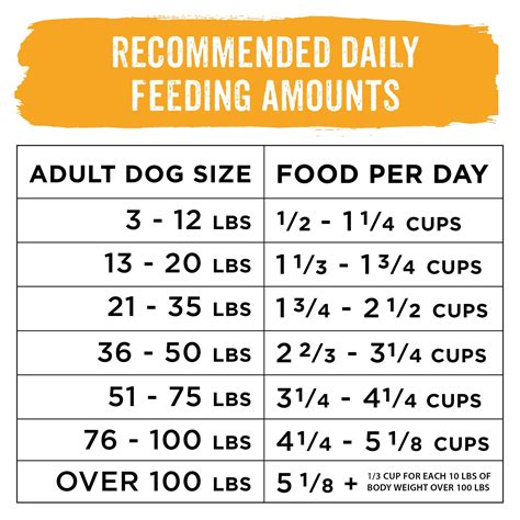 Purina One Puppy Feeding Chart: 5 Essential Feeding Guidelines