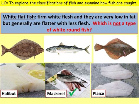 Food provenance - Sustainable Fishing Bundle for Food Preparation and Nutrition. | Teaching ...