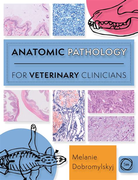 Anatomic Pathology for Veterinary Clinicians - 5m Books