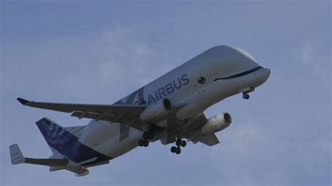 AIRBUS BELUGA XL F-WBXL Amazing Takeoff from Hawarden Airport - YouTube