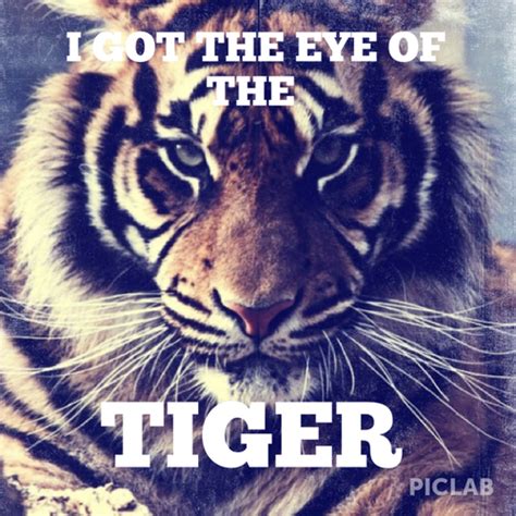 Eye Of The Tiger Quotes. QuotesGram