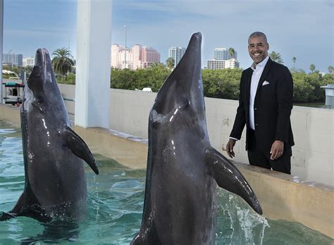 Still reeling from death of star dolphin, aquarium welcomes new CEO to ...