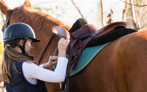 What to Expect at Your First Riding Lesson | Foothills Farm ...