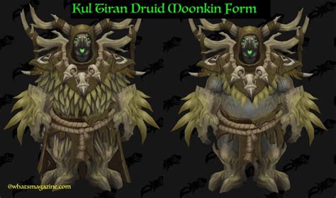 Kul Tiran Human Druid Forms: 8 Terrifying shapes will Blow Your Mind. - Whatsmagazine