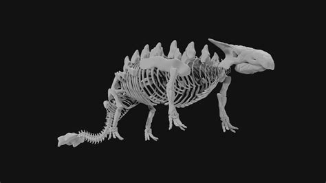 Ankylosaurus skeleton 3D model | CGTrader