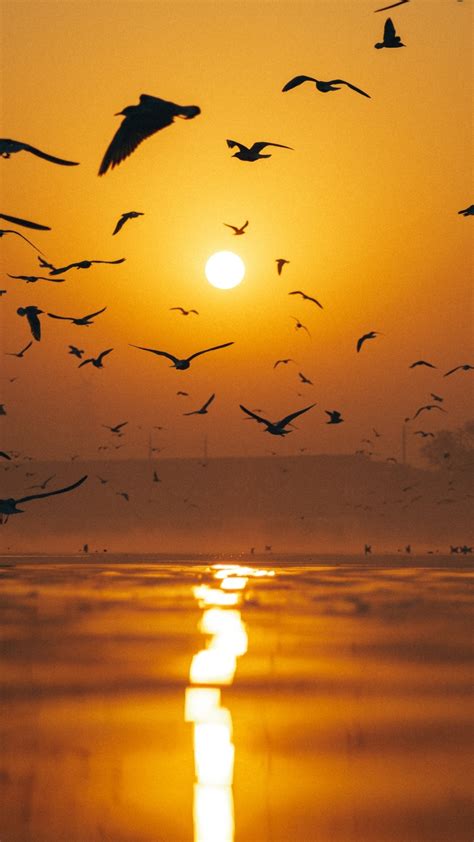 5 places in India to witness beautiful sunrise