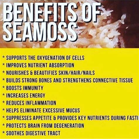 - Total Life Changes, LLC | Irish moss recipes, Sea moss benefits, Sea ...