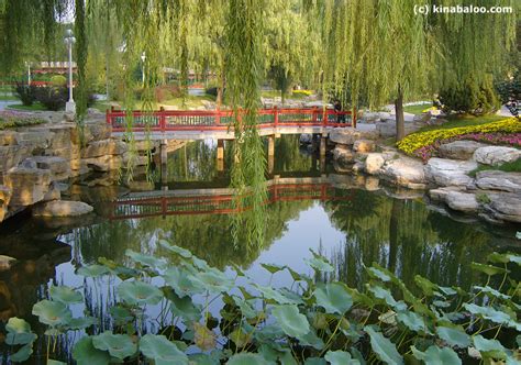 ZhongShan Park, Beijing (70 photos) part 3