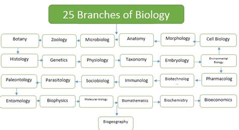 25 Branches of Biology and Their Definition & Meaning from A to Z in ...