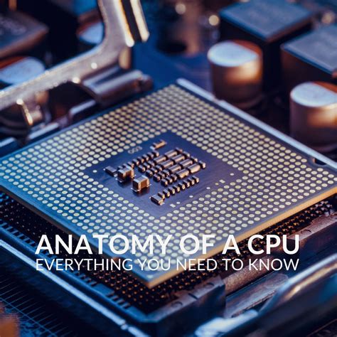 Anatomy of a CPU