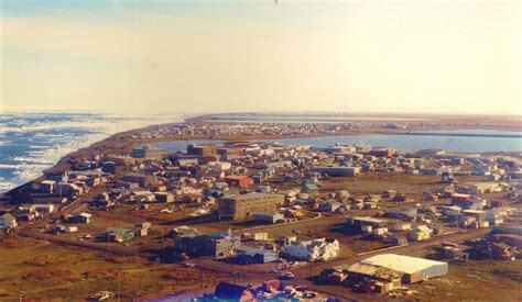 Research in Utqiagvik - Arctic Ecology Program (AEP) - Grand Valley ...