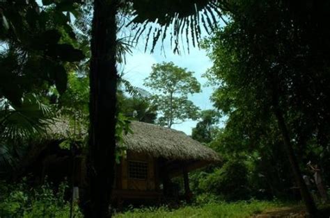 “The valley of light” in Tuyen Quang | Lãnh Địa Đàn Ông