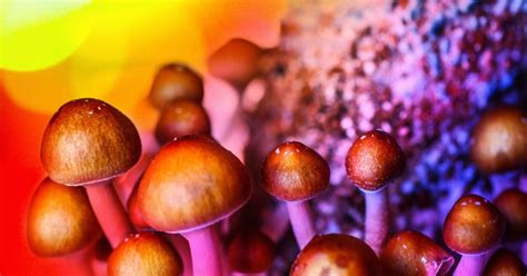 Psilocybin and magic mushrooms: Effects and risks