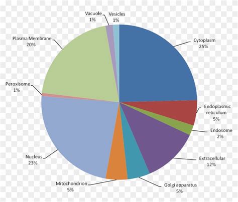 Statistics - - Overbooking Flights Statistics Clipart (#3382391) - PikPng