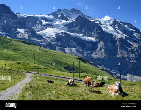 Kleine Scheidegg, mountain pass between Eiger and Lauberhorn peaks in the Bernese Oberland ...