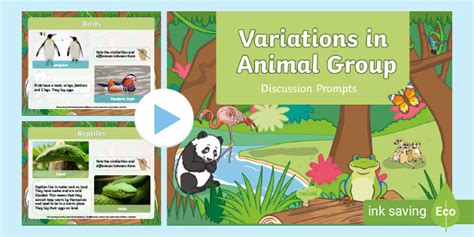 Animal Groups KS1 PowerPoint - Animal Classification KS1